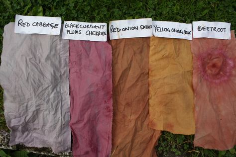 Dye Fabric, Red Cabbage, Yellow Fabric, Yellow Onion, Natural Dye, How To Dye Fabric, Red Onion, Natural Dyes, Penny