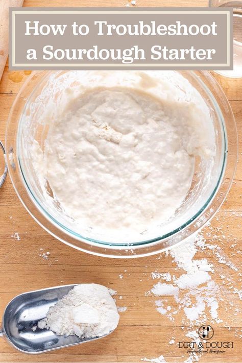 Sourdough Starter Bread Flour, Sourdough Starter Using Cups, Sourdough Starter White Flour, Sour Bread Starter, Easy Sourdough Starter With Yeast, Sore Dough Starter, Foolproof Sourdough Starter, How To Begin A Sourdough Starter, Easy Sourdough Bread Recipe Without Starter