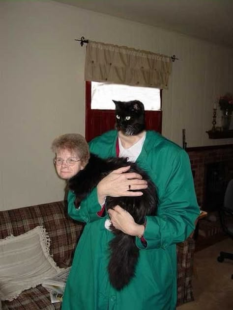 This old lady and a cat | 30 Most Disturbing Face Swaps Of 2012 @Jess Pearl Pearl Pearl Pearl Pearl Pearl Liu Lawrence Funny Face Swap, 밈 유머, Face Swap, Weird Images, Face Swaps, 웃긴 사진, A Black Cat, Animal Faces, Funny Faces