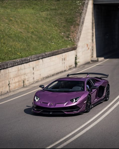 Ferrari Veneno, Lamborghini Aventador Purple, Lamborghini Convertible, Purple Lamborghini, Porche Car, Aventador Lamborghini, Purple Car, Lamborghini Cars, Jaguar Car