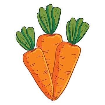 food,vitamin,health,nature,natural,orange,fresh,carrot,garden,healthy,plant,ingredient,freshness,agriculture,organic,diet,vegetarian,vector,color,illustration,drawing,food vector,plant vector,color vector,orange vector,nature vector,health vector,garden vector,vegetables,vegetables vector,carrot vector Agriculture Drawing Easy, Cute Carrot Drawing, Carrots Drawing, Drawing Carrot, Art Sketchbook Ideas Drawings, Sketchbook Ideas Drawings, Drawing Vegetables, Sunflower Drawing Easy, Carrot Clipart