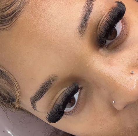 Lashes Short Volume, Black Lash Extensions, Best Lash Extensions, Lash Extentions, Lashes Fake Eyelashes, Eyelash Technician, Cat Eye Lash, Eyelash Extensions Styles, Lash Extensions Styles