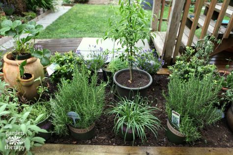 A Culinary Kitchen Garden Perfect for Small Spaces - Garden Therapy Culinary Garden, Renovation Plan, Kitchen Herb Garden, Culinary Kitchen, Small Herb Gardens, Garden Renovation, Outdoor Herb Garden, Herb Garden In Kitchen, Gardening Herbs