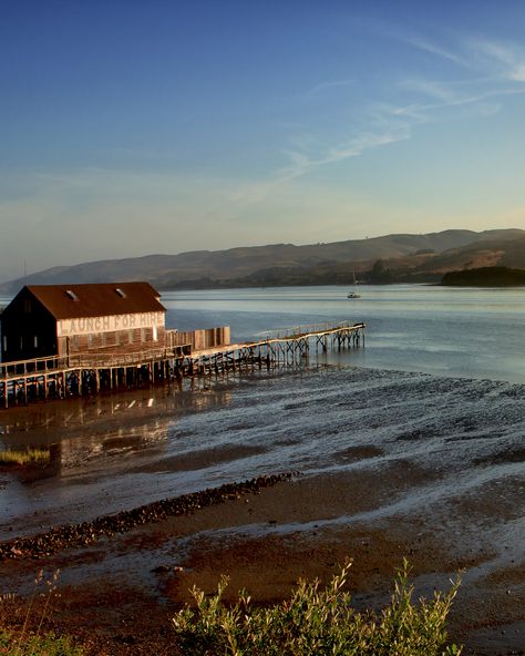 Walk past the first beach, up the little winding path over a hill, then to the second beach facing Tomales Bay. Wade a little. Take a nap. Eat the Heat's Desire sandwiches you picked up at Perry's Inverness Park Grocery on the way over.    - Esquire.com Inverness California, Tomales Bay, Winding Path, Shell Beach, A Hill, Inverness, Take A Nap, Weekend Trips, Summer Travel