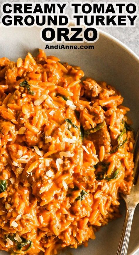 Ground Beef Or Turkey Recipes, Turkey Macro Recipes, Ground Beef And Chicken Recipes, Ground Turkey Protein Meals, Ground Turkey Ricotta Recipes, Low Cal Turkey Recipes, Ground Turkey Pasta Recipes For Dinner, Spicy Ground Turkey Recipes, Ground Beef Fall Recipes