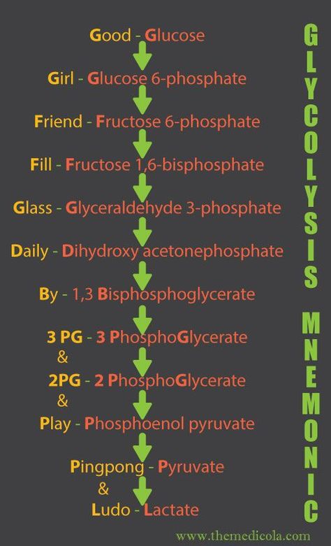 Carbohydrate Metabolism, Biochemistry Notes, Learn Biology, Chemistry Study Guide, How To Remember, Chemistry Basics, Study Chemistry, Chemistry Education, Medical School Life