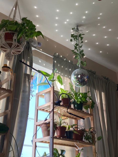 Disco Ball Plant Aesthetic, Disco Ball In Living Room, Disco Ball Decor, Apartment Deco, Condo Decor, Corner Plant, Uni Room, Green Magic, Condo Decorating