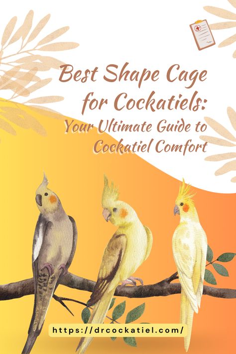 Step up your bird-care game with our ultimate guide on the "3 Best Shape Cage for Cockatiels" designed for comfort and safety 🐦💖. Learn about these tailored bird habitats and make your feathered friends chirp with joy! Read more at https://drcockatiel.com/  #DrCockatiel #Cockatiels #CockatielCageGuide #AvianComfort #BirdLovers 🦜🏠 Diy Cockatiel Cage, Cockatiel Cage Ideas, Cockatiel Cage Setup Ideas, Cockatiel Cage Setup, Cockatiel Cage, Cockatiel Bird, Flight Cage, Bird Care, Bird Cages