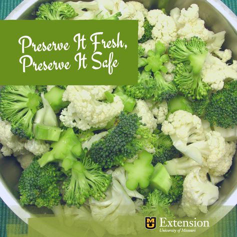 Pickled Broccoli Recipe, Preserving Cauliflower, Freezing Cauliflower How To, Canning Cauliflower, How To Freeze Fresh Cauliflower, Preserving Fresh Cauliflower, Canning Broccoli, Pickled Cauliflower Recipe Canning, Pickled Broccoli