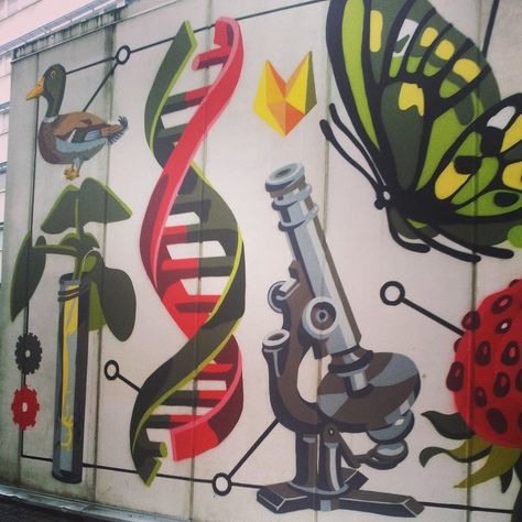 Reddit - biology - Mural at my university's biology department Biology Mural, Science Mural, Stem Classroom Decor, School Wall Art Ideas, Science Room, Science Classroom Decorations, Mural Art Design, Biology Labs, Biology Art