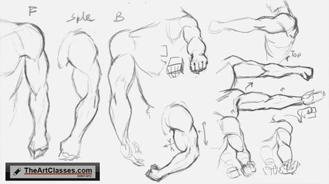 Drawing Reference Cartoon, Arm Drawing Reference, Reference Cartoon, Arm Anatomy, Arm Drawing, Male Figure Drawing, Arm Art, Human Anatomy Drawing, Human Figure Drawing