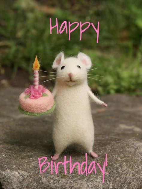 Happy Birthday Friend Funny, Happy Birthday Illustration, Funny Happy Birthday Wishes, Birthday Greetings Funny, Birthday Greetings Friend, Happy Birthday Art, Happy Birthday Greetings Friends, Cute Happy Birthday, Happy Birthday Wishes Cards