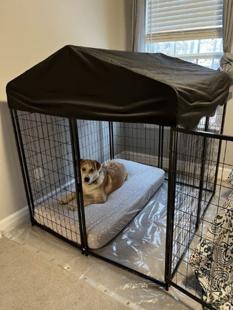 Big Dog Crate Ideas, Puppy Cage Ideas Dog Houses, Outdoor Dog Crate, Cute Dog House Ideas, Dog Cage Ideas Outdoor House, Dog Proof Decorating, Dog Proof Room Ideas, Big Dog Areas In House, Dog Kennel Designs Indoor