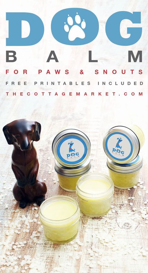 DIY Dog Balm. A fabulous quick and easy Dog Balm Recipe that you can use on your Dogs paws and snout. Great for your pup and so easy to make! Dog Balm, Dog Paw Balm, Rich Dog, Dogs Paws, Dogs Paw, Balm Recipe, Dog Remedies, Paw Balm, Dog Projects