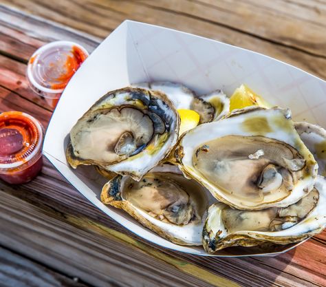 Just the thought of the dishes offered at these quintessentially New England seafood festivals will have your mouth watering. New England Seafood, Maine Lobster Festival, Steamed Lobster, Lobster Boil, Oyster Festival, England Vacation, Best Oysters, Hood Canal, Eat Veggies