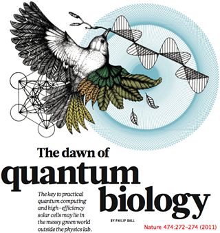 What is "Quantum Biophysics? It sounds like a made up discipline doesn't it? Well it's not. Succinctly, Biophysics is an interdisciplinary science that uses methods and theories from Physics to study Biological systems (life). Quantum mechanics is a subdiscipline of Physics that studies and analyzes the physical phenomena at microscopic scales, where the action is on the order of the Planck constant. Quantum mechanics departs from Classical Mechanics primarily at the quantum realm of atomic and… Quantum Biology, Quantum Mechanics Physics, Planck Constant, Physics Mechanics, Quantum Realm, Physics Lab, Quantum World, Science Rules, Theoretical Physics