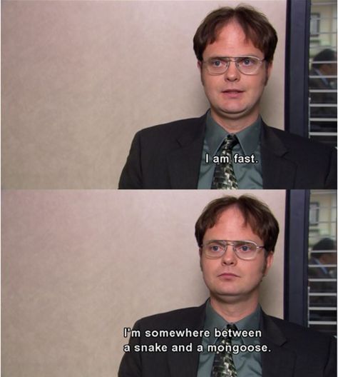 Fast Dwight Quotes, Dwight Schrute Quotes, Office Quotes Funny, Office Jokes, The Office Show, Office Memes, Office Quotes, Dwight Schrute, Parks N Rec