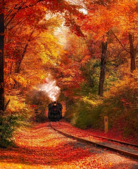 🍁🍂𝔸𝕦𝕥𝕦𝕞𝕟 🍂🍁 on Instagram: “📸: @marytheona I’ll take that train ride!😍🍁🍂 66 More days until Fall!🧡 _______________________________________ #autumn #fall…” Waving Through A Window, Golden Hour Photography, New England Travel, New England Fall, Railroad Photography, Autumn Scenes, Beautiful Places On Earth, Fall Pictures, Fall Wallpaper