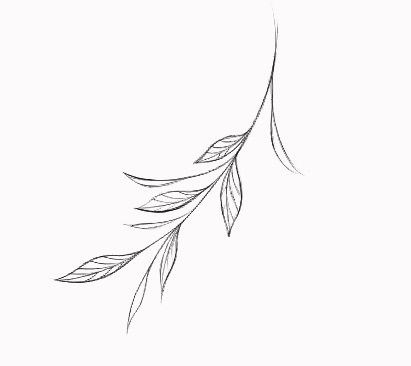 Twig Tattoo, Branch Drawing, Tattoo Time, Willow Leaf, Tattoo Script, Time Tattoos, Dream Tattoos, Charlie Puth, Skin Art