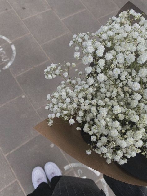 Aesthetic Flowers, Flowers Spring, Fashion Aesthetic, White Flowers, Flowers, White