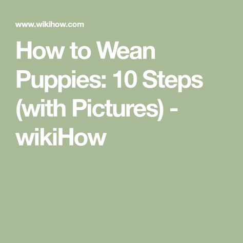 How to Wean Puppies: 10 Steps (with Pictures) - wikiHow Weaning Puppies, Feeding Puppy, Puppy Schedule, Mother's Milk, Newborn Puppies, American Animals, Mother Milk, Growth And Development, Emergency Care