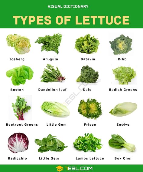 Type Of Lettuce, Lettuce Types, Lettuce Benefits, Vegetables List, Types Of Lettuce, Radish Greens, Vegetable Benefits, Grape Salad, Grow Food