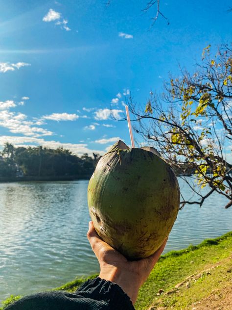 Lagoa da Pampulha ~ água de coco ~ aesthetic ~ lifestyle Coco Aesthetic, Aesthetic Lifestyle, Coco, Lifestyle, Drinks