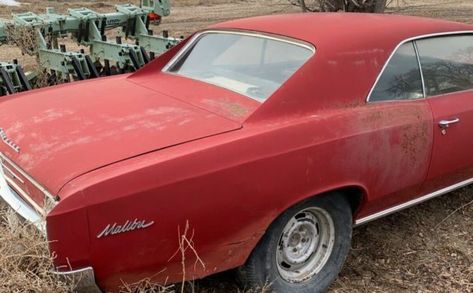 Cheap Muscle Car Project? 1966 Chevrolet Chevelle | Barn Finds Cheap Muscle Cars, Chevy Chevelle Malibu, Chevelle For Sale, Barn Find Cars, Chevrolet Chevelle Malibu, Hurst Shifter, Chevy Chevelle, Car Projects, Chevrolet Chevelle