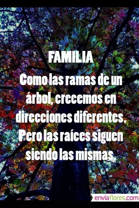 Familia... Como las ramas de un árbol, crecemos en direcciones diferentes. Pero las raíces siguen siendo las mismas. Quotes En Espanol, Love My Family, Spanish Quotes, Family Quotes, In Spanish, Family Love, Favorite Quotes, Wise Words, Best Quotes