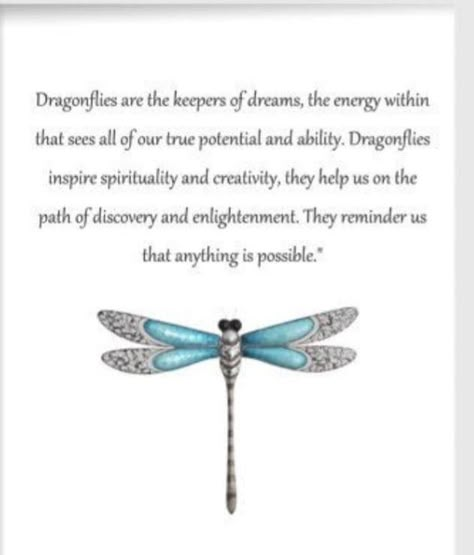 Dragonfly Meaning Spiritual, Dragonfly Meaning, Dragonfly Symbolism, Dragonfly Quotes, Dragonfly Artwork, Dragon Flys, Inspiring Nature, Dragonfly Tattoo Design, Glass Dragonfly