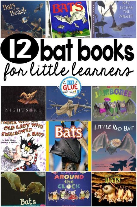 Spiders Preschool, Bats Unit, Halloween Lesson Plans, Spider Unit, The Very Busy Spider, Spider Book, Halloween At Home, Fall Lesson Plans, Halloween Lesson