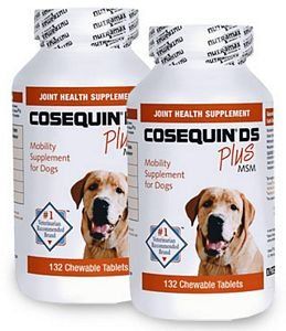 2PACK Cosequin DS PLUS MSM Chewable Tablets 264 Count >>> Click on the image for additional details. Dog Luxury, Golden Mix, Dog Doors, Dog Joints, Nursing Supplies, Muscle Pain Relief, Dog Dental Care, Pet Supplements, Dog Food Storage