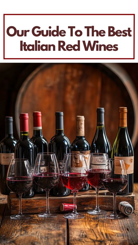 A variety of Italian red wines displayed on a rustic wooden table, featuring bottles from different regions alongside glasses filled with rich red wine. Barbera Wine, Lambrusco Wine, Montepulciano Wine, Sangiovese Wine, Italian Red Wine, Best Italian Wines, Sparkling Red Wine, Wine Variety, Grape Uses