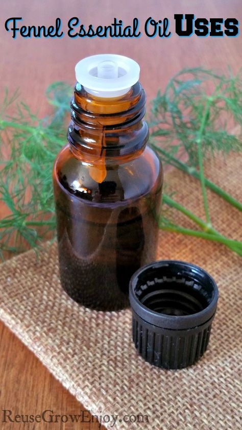 Fennel Essential Oil Uses for Women’s Health Ways To Use Essential Oils, Selling Essential Oils, Fennel Oil, Fennel Essential Oil, Essential Oils For Colds, What Are Essential Oils, Essential Oil Blends Recipes, Thrifty Living, Juice Plus