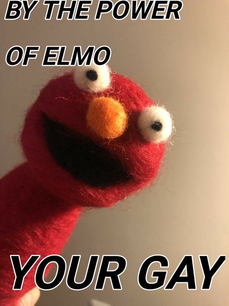 Elmo Memes, Elmo Wallpaper, Coffee Pics, Elmo And Friends, Elmo World, Felt Fish, Crazy Funny Pictures, Pfp Ideas, Very Funny Pictures