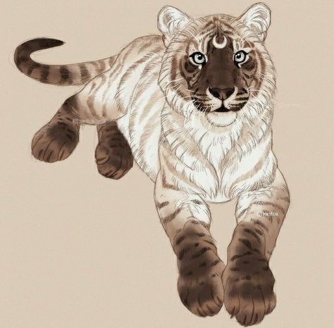 Human Snow Leopard Oc, Brown Tiger, White Lion Art, White Tiger Art, Tiger Oc, Mythical Creatures Drawings, Dog Design Art, Cat Drawing Tutorial, Tiger Drawing