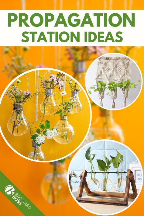 Backyard Boss, Hanging Glass Planters, Plant Propagation Station, Hanging Light Bulbs, Propagation Station, Gardening Gear, Terrarium Containers, Plant Parent, Test Tubes