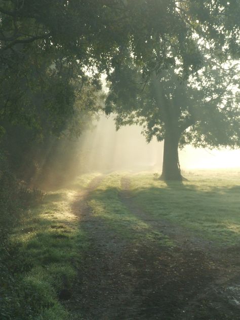 A track on the Mendip Hills in the early morning Scilly Islands, Mendip Hills, Valley Green, Rolling Hills, English Countryside, Early Morning, Somerset, Country Roads, England