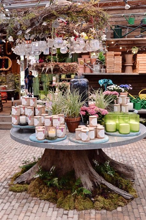 Plant Shop Display Store Fronts, Garden Store Display Ideas, Garden Store Displays, Flower Shop Gift Ideas, Flower And Gift Shop Ideas, Flower Shop Display Ideas, Garden Centre Displays, Shop Display Ideas, Gift Shop Interiors