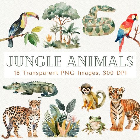 A bright and colorful animal sticker book perfect for kids to enjoy crafting and playing while learning about various species Jungle Scrapbook, Monkey Clipart, Safari Clipart, Forest Animals Clipart, Tiger Clipart, Jungle Images, Jungle Creatures, Jungle Animal Art, Jungle Clipart