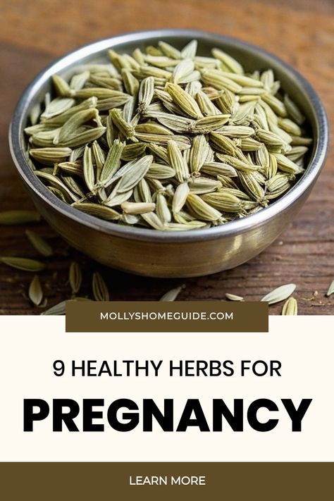 Discover the best and safest herbs to use during pregnancy and postpartum with our comprehensive guide. From herbs for fertility to natural remedies for nausea, explore how medicinal herbs can support you throughout your pregnancy journey. Learn about the benefits of incorporating safe herbs during pregnancy and while breastfeeding. Whether you're seeking relief from discomfort or looking to promote overall wellness, these herbal recommendations are worth considering. Herbs For Pregnancy, Herbs For Fertility, How To Help Nausea, Remedies For Nausea, Wild Yam, Healthy Herbs, Natural Pregnancy, Expecting A Baby, Pregnant Diet