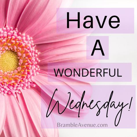 Wednesday Morning Quotes, Procrastination Quotes, Wednesday Greetings, Quote Collage, Patience Quotes, Good Morning Wednesday, Happy Wednesday Quotes, Wednesday Quotes, Wonderful Wednesday