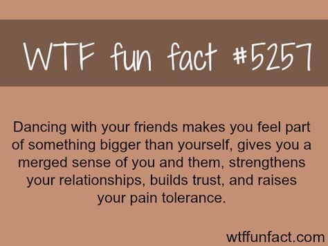 Dancing with friends - WTF fun facts Dancing With Friends, What The Fact, Facts Funny, Crazy Facts, Wow Facts, Education Humor, Random Facts, Fun Fun, Interesting Information