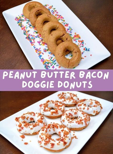 Dog Donut Treat Recipe, Gourmet Dog Treats Packaging, Diy Gourmet Dog Treats, Homemade Dog Donut Treats, Dog Friendly Desserts, Dog Deserts, Fancy Dog Treats, Gourmet Dog Treat Recipes, Dog Bakery Ideas