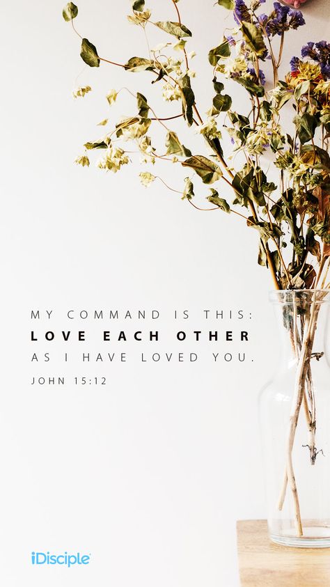 My command is this: Love each other as I have loved you. | John 15:12 | Bible Sayings, Nurture Your Soul, John 15 12, Woord Van God, Verses Wallpaper, Ayat Alkitab, Daily Devotions, Biblical Verses, Memory Verse