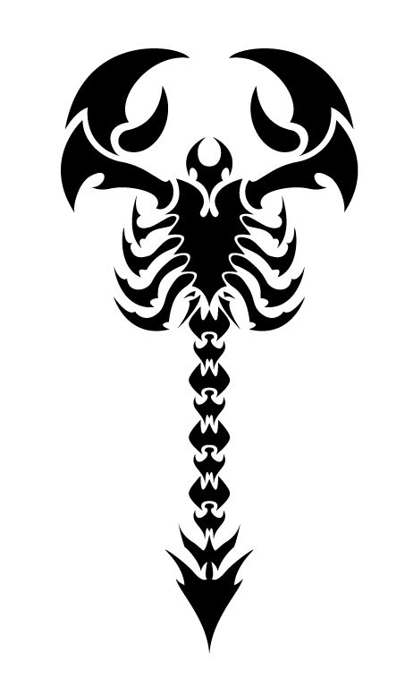 Another vector tattoo design. Scorpio Tattoo, Scorpion Tattoo, Tattoo Style Drawings, Celtic Tattoos, Skull Tattoos, Tattoo Design Drawings, Sleeve Tattoo, First Tattoo, Dragon Tattoo