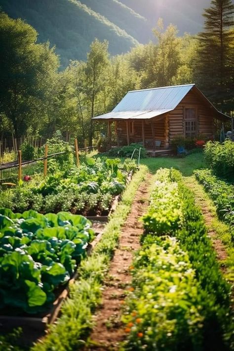 Dream Backyard Garden, Cascade Waterfall, Little Cabin, House Plants Decor, Tiny House Cabin, Garden In The Woods, Cabins And Cottages, Cabin Life, Off Grid Living