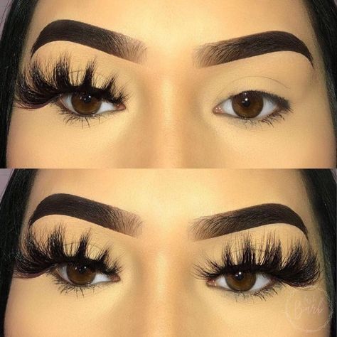 Falsies Eyelashes, Eye Lash Tattoo, Get Long Eyelashes, Eyelash Extensions Before And After, Eyelash Lift And Tint, Big Eyelashes, Eyelash Studio, Eyelashes Tutorial, Eyelash Tips