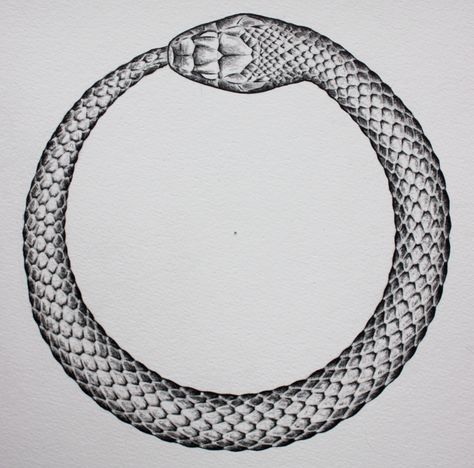 Ouroboros Snake Eating Itself Drawing, Oroborous Snake Tattoo, Snake Circle Tattoo, Snake Eating Tail, Circle Tattoo Meaning, Snake Circle, Snake Ouroboros, Snake Eating, Ouroboros Tattoo