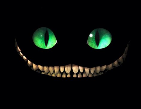 Cheshire Cat Wallpaper, Nightmare Quotes, Cheshire Cat Grin, Cheshire Cat Smile, Cheshire Cat Alice In Wonderland, Go Ask Alice, Cat Skin, Alice And Wonderland Quotes, Wonderland Quotes